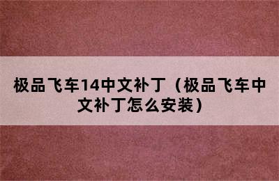 极品飞车14中文补丁（极品飞车中文补丁怎么安装）