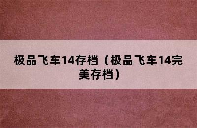 极品飞车14存档（极品飞车14完美存档）