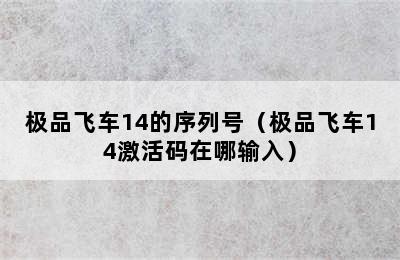 极品飞车14的序列号（极品飞车14激活码在哪输入）