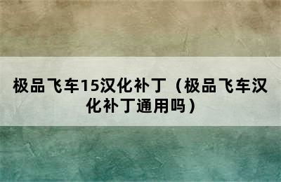 极品飞车15汉化补丁（极品飞车汉化补丁通用吗）