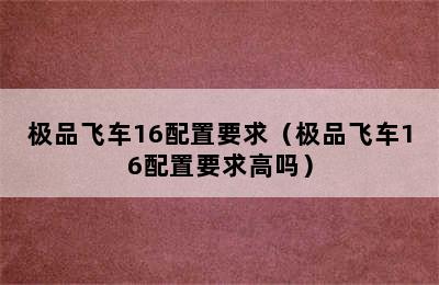 极品飞车16配置要求（极品飞车16配置要求高吗）