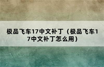 极品飞车17中文补丁（极品飞车17中文补丁怎么用）