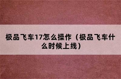 极品飞车17怎么操作（极品飞车什么时候上线）