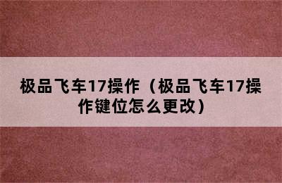 极品飞车17操作（极品飞车17操作键位怎么更改）