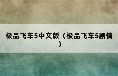 极品飞车5中文版（极品飞车5剧情）