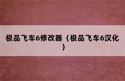 极品飞车6修改器（极品飞车6汉化）