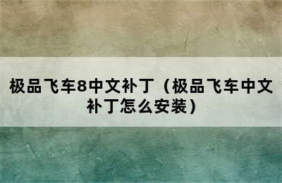 极品飞车8中文补丁（极品飞车中文补丁怎么安装）