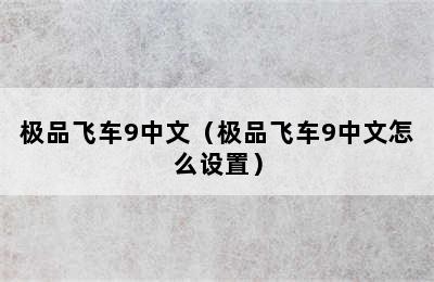 极品飞车9中文（极品飞车9中文怎么设置）