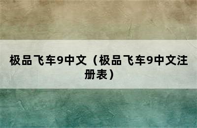 极品飞车9中文（极品飞车9中文注册表）