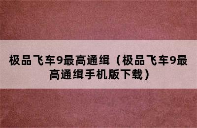 极品飞车9最高通缉（极品飞车9最高通缉手机版下载）