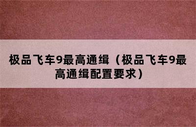 极品飞车9最高通缉（极品飞车9最高通缉配置要求）