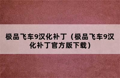 极品飞车9汉化补丁（极品飞车9汉化补丁官方版下载）