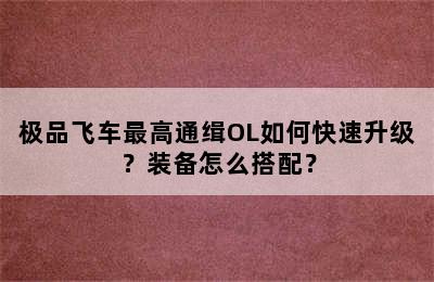 极品飞车最高通缉OL如何快速升级？装备怎么搭配？