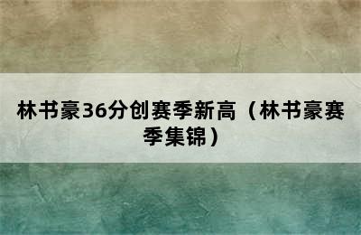 林书豪36分创赛季新高（林书豪赛季集锦）