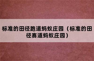 标准的田径跑道蚂蚁庄园（标准的田径赛道蚂蚁庄园）