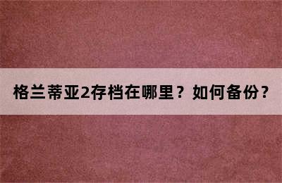 格兰蒂亚2存档在哪里？如何备份？