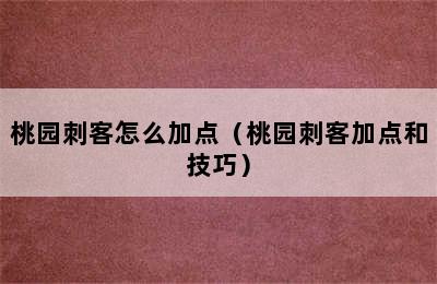 桃园刺客怎么加点（桃园刺客加点和技巧）