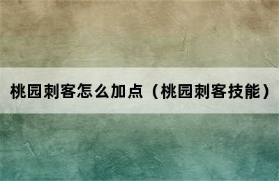 桃园刺客怎么加点（桃园刺客技能）