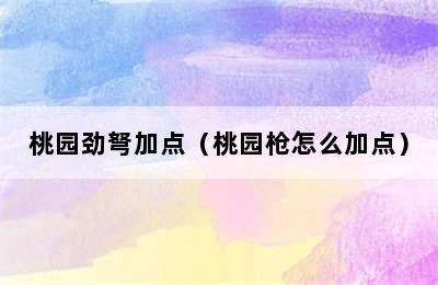 桃园劲弩加点（桃园枪怎么加点）