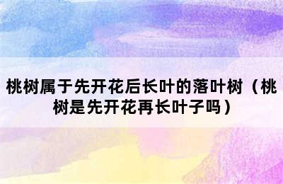 桃树属于先开花后长叶的落叶树（桃树是先开花再长叶子吗）