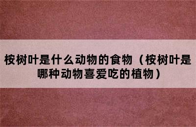 桉树叶是什么动物的食物（桉树叶是哪种动物喜爱吃的植物）