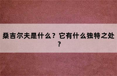 桑吉尔夫是什么？它有什么独特之处？