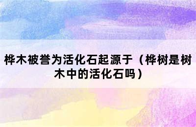 桦木被誉为活化石起源于（桦树是树木中的活化石吗）