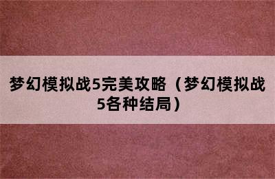 梦幻模拟战5完美攻略（梦幻模拟战5各种结局）