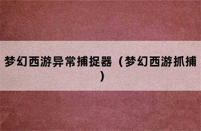 梦幻西游异常捕捉器（梦幻西游抓捕）