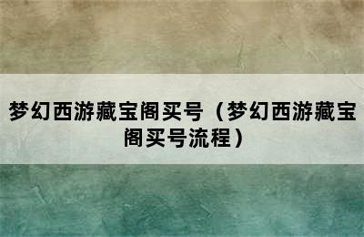 梦幻西游藏宝阁买号（梦幻西游藏宝阁买号流程）