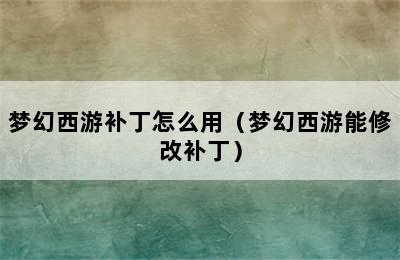 梦幻西游补丁怎么用（梦幻西游能修改补丁）