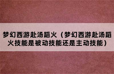 梦幻西游赴汤蹈火（梦幻西游赴汤蹈火技能是被动技能还是主动技能）