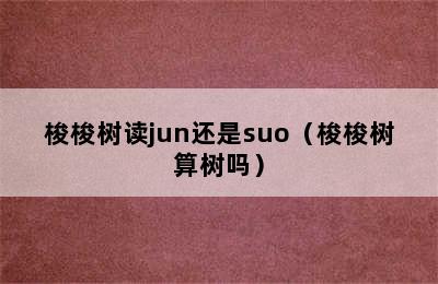 梭梭树读jun还是suo（梭梭树算树吗）