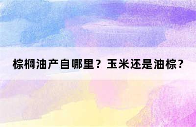 棕榈油产自哪里？玉米还是油棕？