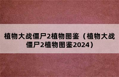 植物大战僵尸2植物图鉴（植物大战僵尸2植物图鉴2024）