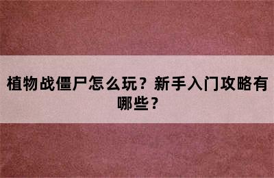 植物战僵尸怎么玩？新手入门攻略有哪些？