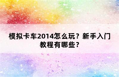 模拟卡车2014怎么玩？新手入门教程有哪些？