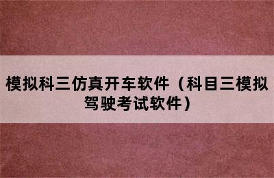 模拟科三仿真开车软件（科目三模拟驾驶考试软件）