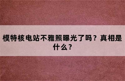 模特核电站不雅照曝光了吗？真相是什么？