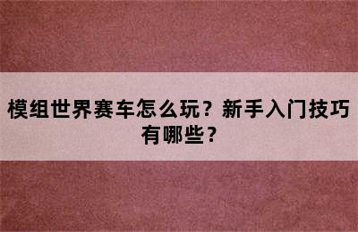 模组世界赛车怎么玩？新手入门技巧有哪些？