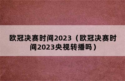 欧冠决赛时间2023（欧冠决赛时间2023央视转播吗）