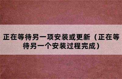 正在等待另一项安装或更新（正在等待另一个安装过程完成）