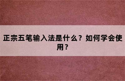 正宗五笔输入法是什么？如何学会使用？