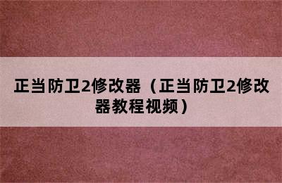 正当防卫2修改器（正当防卫2修改器教程视频）