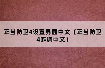 正当防卫4设置界面中文（正当防卫4咋调中文）