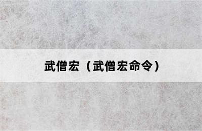 武僧宏（武僧宏命令）