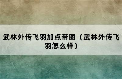 武林外传飞羽加点带图（武林外传飞羽怎么样）