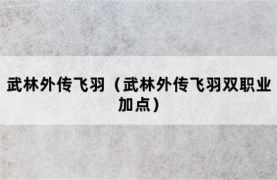 武林外传飞羽（武林外传飞羽双职业加点）