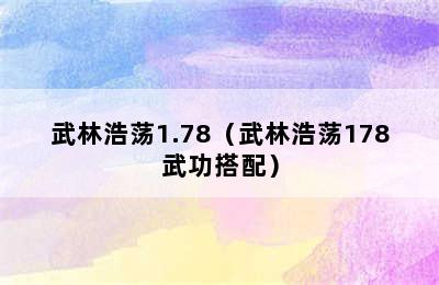 武林浩荡1.78（武林浩荡178武功搭配）