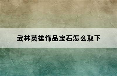 武林英雄饰品宝石怎么取下